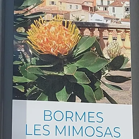 T2-clim-fibre-garage 2,30 X 4,95 X 1,90 A La Faviere Apartmán Bormes-les-Mimosas