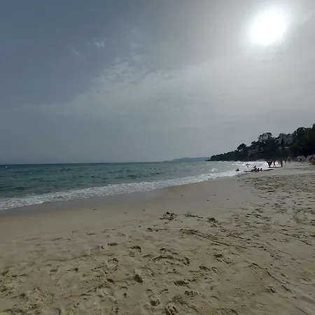 T2-clim-fibre-garage 2,30 X 4,95 X 1,90 A La Faviere * Bormes-les-Mimosas